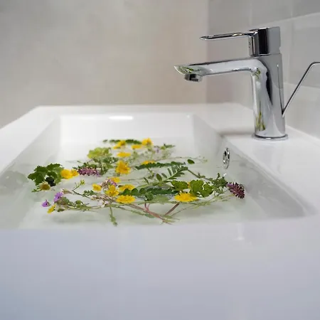 Relais Raparo Guest house Castelsaraceno